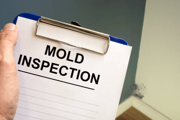 Biohazard Mold Removal in Glen Ridge, NJ